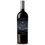Tagua Gran Reserva Carmenere 2021 vin rosu 0.75l