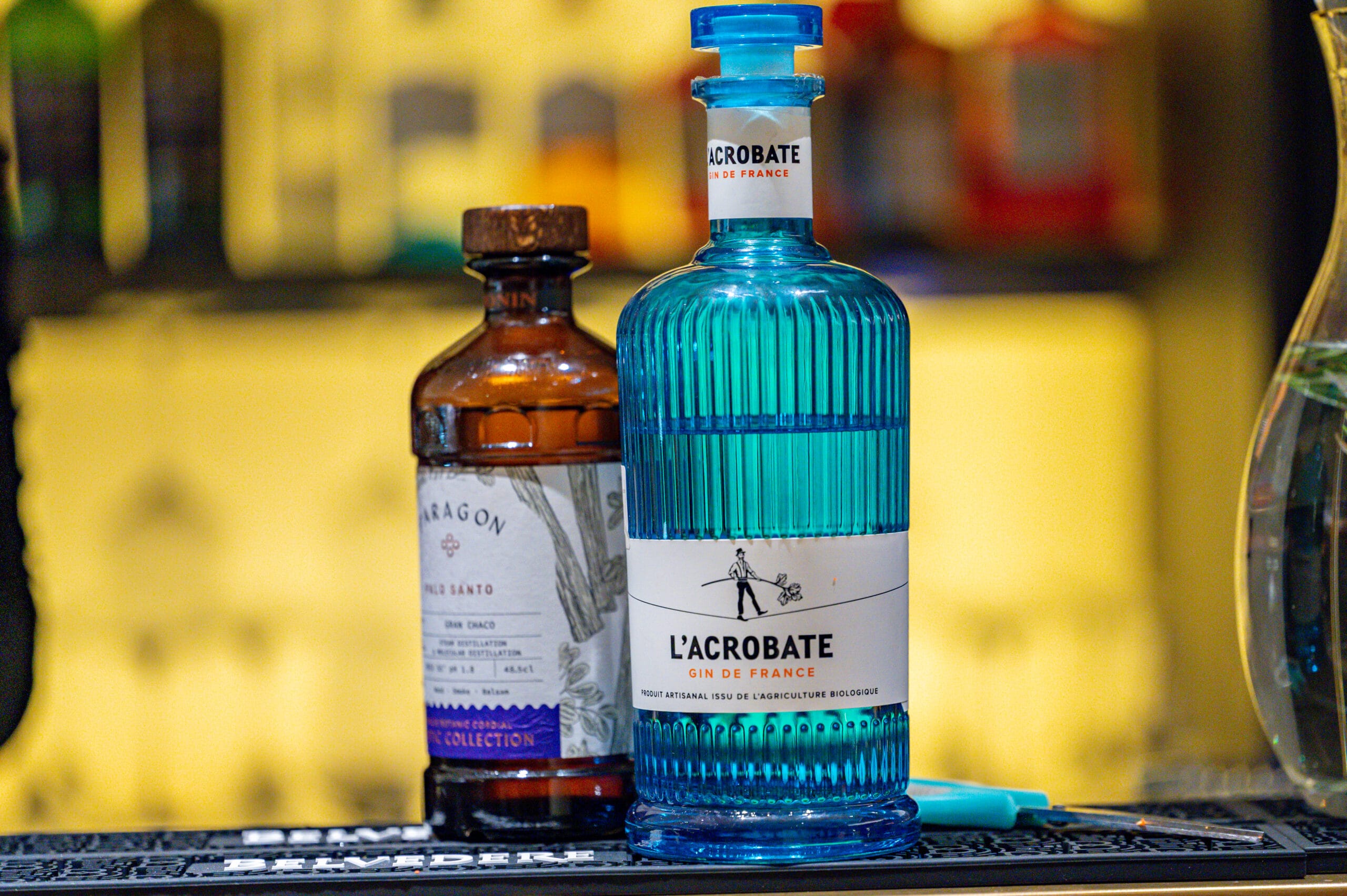 gin l acrobat la dejavin